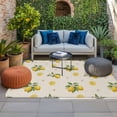 thumbnail image 2 of Cute Lemon Summer Outdoor Rug for Patio/Deck/Porch, Non-Slip Large Area Rug 6 x 9 Ft, Farmhouse Floral Retro Linen Texture Indoor Outdoor Rugs Washable Area Rugs, Reversible Camping Rug Carpet Runner, 2 of 8