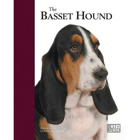 The Basset Hound (Best Basset Hound Breeders)