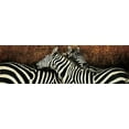 thumbnail image 2 of Arietti, Fabienne 32x12 Gold Ornate Wood Framed with Double Matting Museum Art Print Titled - Les deux zebres, 2 of 4
