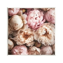 Stupell Industries Soft Peonies Photography Botanical & Floral Photography Unframed Art Print Wall Art, 12 x 12