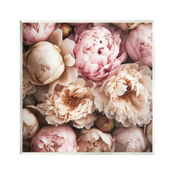 Stupell Industries Soft Peonies Photography Botanical & Floral Photography Unframed Art Print Wall Art, 12 x 12