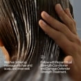 thumbnail image 5 of Eva NYC Revitalisant Rituel Réparateur 10 fl oz, 5 of 5