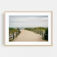 thumbnail image 2 of Dune Path, Ocean City 02 - Ocean City New Jersey Photography Beach Coastal Nature Seaside Boardwalk Landscape Summer Unframed Wall Art Print 20 x 30 inches, 2 of 7