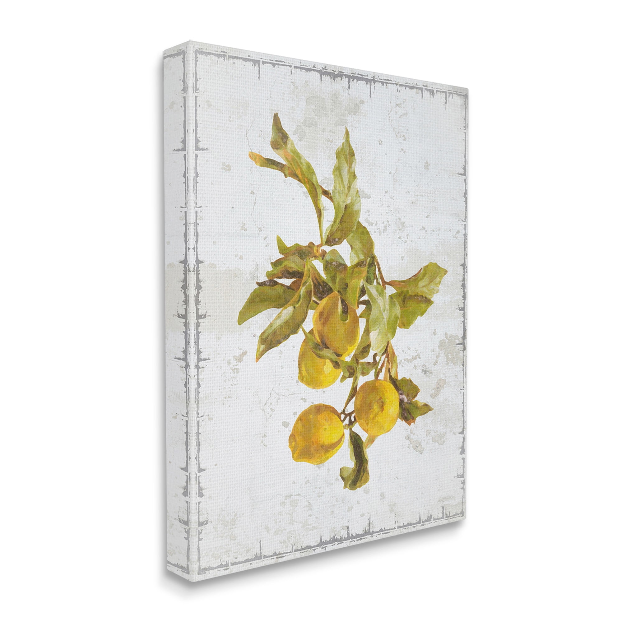 Stupell Industries Natural Lemon Branch Food & Beverage Painting Gallery Wrapped Canvas Art Print Wall Art, 36 x 48