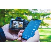 OM System OM-5 Silver Micro Four Thirds System Camera M.Zuiko Digital ED 12-45mm F4.0 PRO kit Outdoor Camera Weather Sealed Design 5-Axis Image Stabilization 50MP Handheld High Res Shot