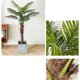 thumbnail image 3 of Palmera artificial de 160 cm de alto con maceta for interior y exterior, hogar, sala de estar, oficina, jardín, porche, decoración, planta de simulación., 3 of 5