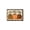 Color 8, variant on It S Fall Y All Pumpkins Soft Small Velvet Area Rugs Non Slip Indoor Floor Carpet for Living Room Bedroom Decor