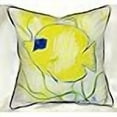 thumbnail image 3 of Betsy Drake SN673 12 x 12 Po Petit Oreiller Intérieur et Extérieur, 3 of 4