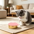 thumbnail image 4 of Cmunyle Couvercle Réutilisable Hermétique pour Poubelle pour Animaux, Unité Empilable Étanche pour Chien et Chat, Réfrigération, Rangement et Conservation Quotidienne de la Fraîcheur des Aliments Humides, 4 of 6