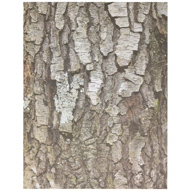 Papel artesanal Roylco Terrific Tree (32 hojas)