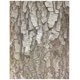 thumbnail image 1 of Papel artesanal Roylco Terrific Tree (32 hojas), 1 of 2