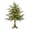 22.44 Inch Tall Tree, variant on BingTong Tabletop Artificial Christmas Tree, 18.5 Inch Pre-Lit Fir With Warm LED Lights and Vintage Scroll Base, Small Holiday Display for Mantel Shelf Desk and, 18.5 Inch Tall Tree - Green