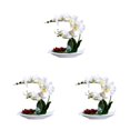 thumbnail image 4 of Matsuzay Orquídeas artificiales Plantas de flores falsas Hermoso arreglo vivo Type1 NO1, 4 of 6