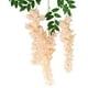 thumbnail image 1 of Simulación de flores de glicinia. Ramas largas. Flores de plástico. Flores de seda. Salón interior. Enredaderas colgantes. Decoración fotográfica., 1 of 6