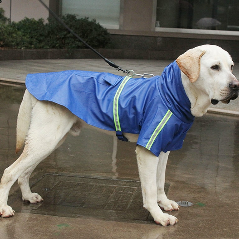 Tiny dog outlet raincoat