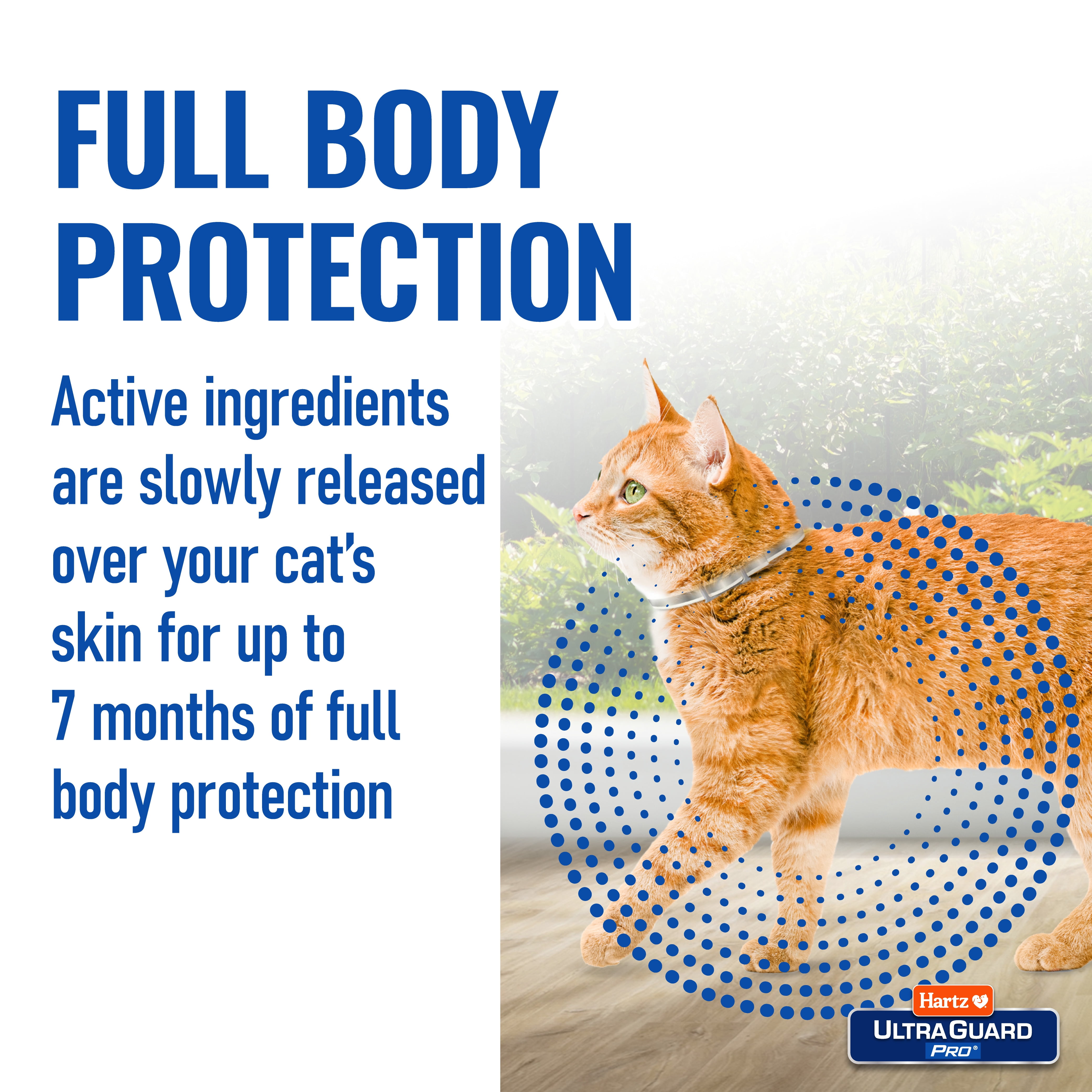 (2 pack) Hartz UltraGuard Pro Reflective Flea and Tick Collar for Cats and Kittens, 7 Months Protection