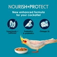 thumbnail image 4 of Kaytee Forti-Diet Pro Health+Safflower Nourish+Protect Cockatiel Food 4 pounds, 4 of 14