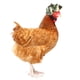 thumbnail image 4 of Adorno navideño Ozmmyan Productos para mascotas Protección Casco de pollo Sombrero de gallina Sombrero de pájaro Cubierta de cabeza Regalo para la familia, 4 of 4