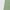 Green, variant on WFJCJPAF 2024 New Product Clearance！ Pants for Women Plus Size Stretch Two Pairs,Women's Fashion Rope Casual Large Size Solid Color Micro-Stretch Pocket Loose Pants - Black S