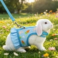 thumbnail image 5 of Tuvgenk Small Pet Harness and Leash Set Vest Style Breathable Mesh Rabbit Chest Strap for Guinea Pig Outdoor Walk L Blue, 5 of 7