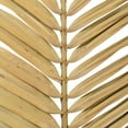 thumbnail image 2 of 44" Natural Round Tip Palm Leaf 6/Bag, 2 of 2
