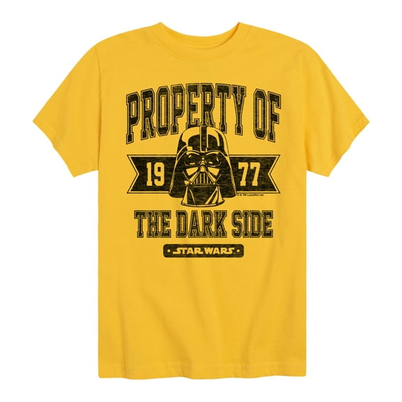 Star Wars - Property Of The Dark Side - Toddler And Youth Short Sleeve Tee