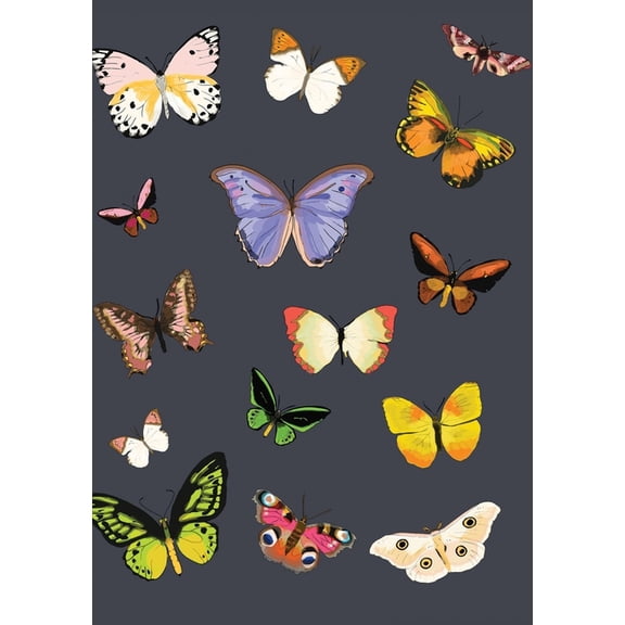 Metamorphosis Journal (Navy), (Paperback)