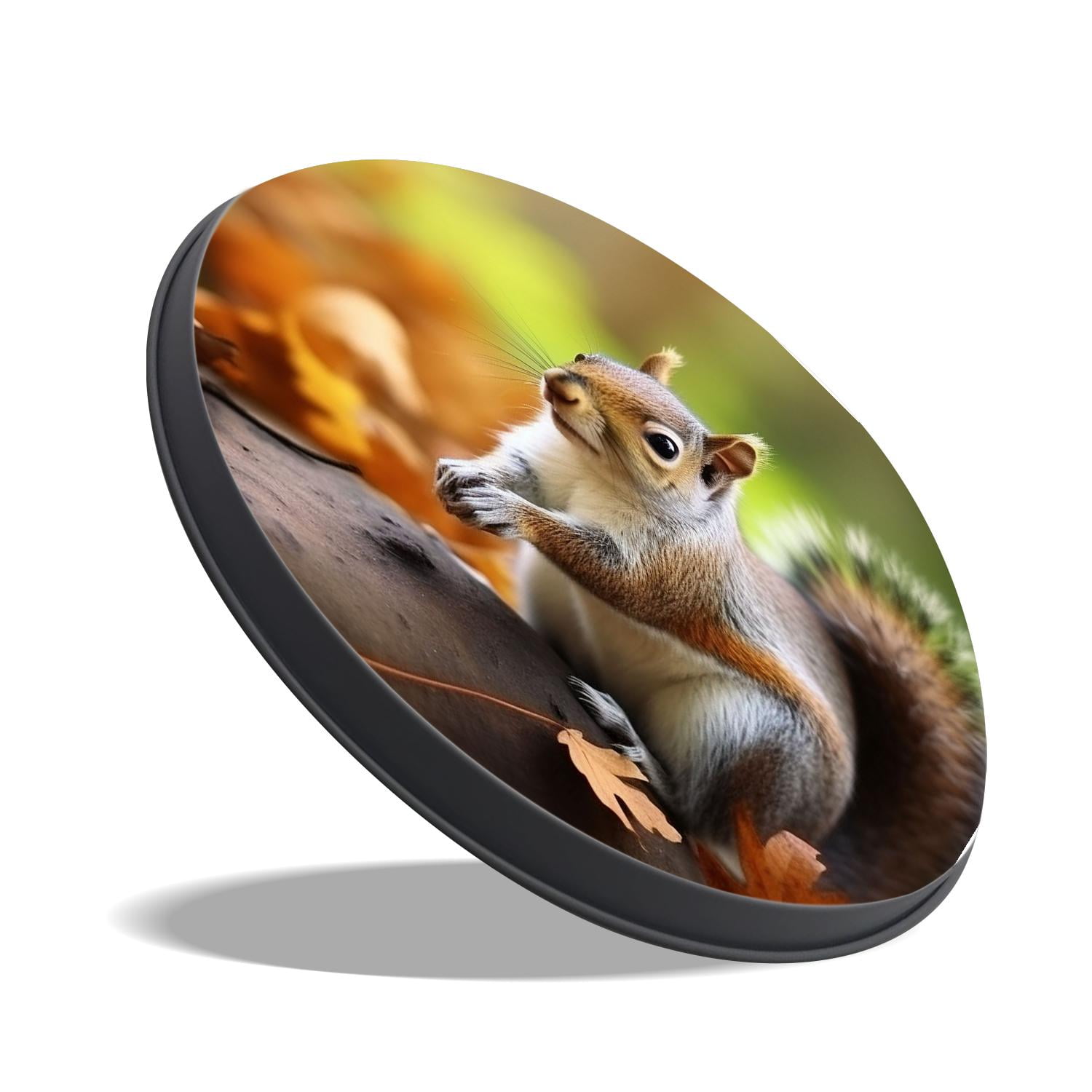 Round Stove Burner Covers 4 Pcs,Autumn Squirrel Forest Leaves Landscape Nature Lovely Round Electric Stove Burner Covers 8Inch And 10Inch