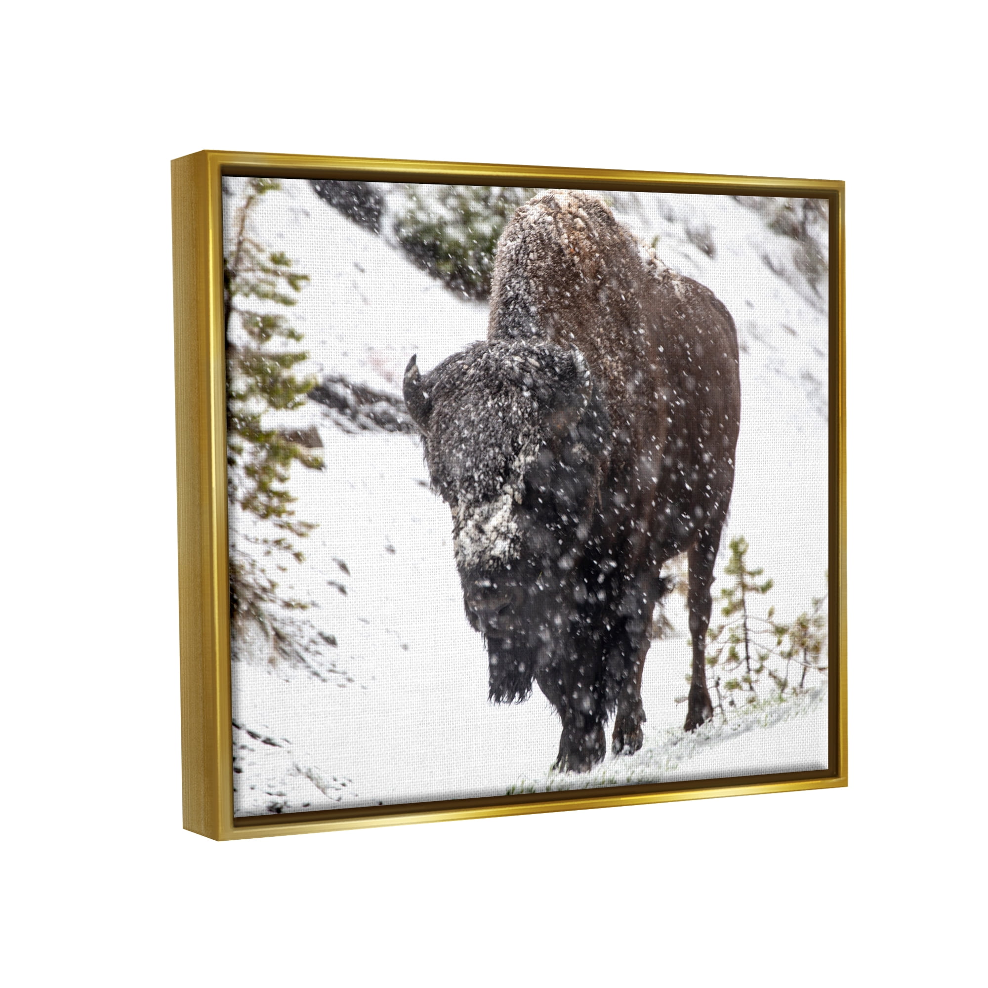 Stupell Industries Bison in Windblown Snow Animals & Insects Photography Gold Floater Framed Art Print Wall Art, 31 x 25