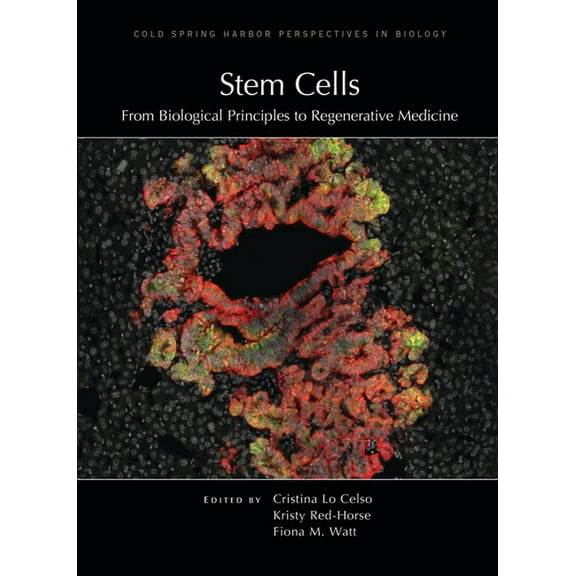 Perspectives Cshl Stem Cells: From Biological Principles to Regenerative Medicine, (Hardcover)