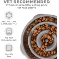 thumbnail image 3 of Fun Feeder Slo Bowl – Large 4‑Cup Capacity, Slow Feeding, Medium to Large Dogs, Non‑Slip, Gray, Drop Pattern, 11.75", 3 of 7