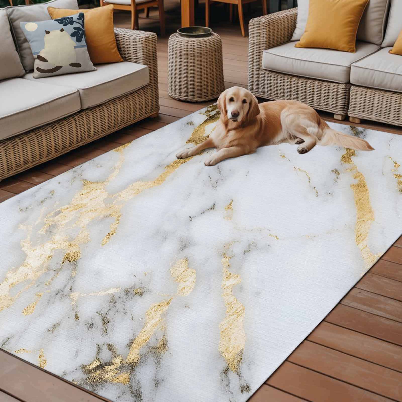 Outdoor Rug 5x8ft Ombre White Golden Marble Large Area Rug Abstract Art Indoor Outdoor Carpet Outdoor Rugs Mats for Patio Camping,RV,Front Door, Outside Decor