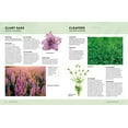 thumbnail image 5 of Plants That Heal, 5 of 5