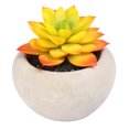 thumbnail image 4 of (2 pack) Mainstays 3.54" Artificial Succulent Plant in Cement Pot, Yellow & Orange, 4 of 7