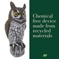 thumbnail image 4 of Dalen Fake Owl Decoy to Scare Birds Away from Gardens, Rooftops, and Patios - Scarecrow Provides Chemical-Free Pest Control - Safe and Humane, 16" Great Horned Owl, 4 of 5