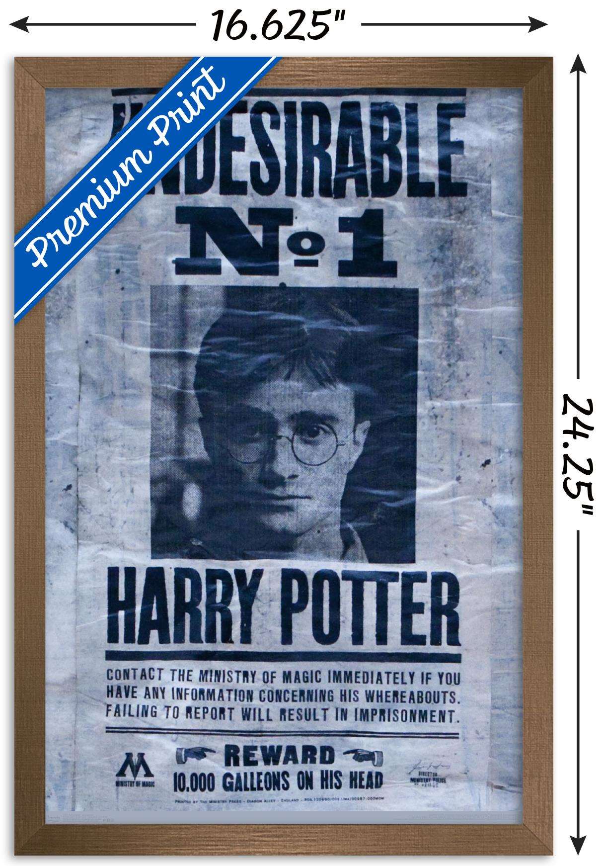 The Wizarding World: Harry Potter - Undesirable Wall Poster, 14.725" x 22.375", Framed