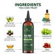 thumbnail image 5 of Botanic Hearth 100% Pure Tea Tree Oil For Hair Growth | Infused with Jojoba & Grapeseed Oils | Hair Oil Repairs Dry Damaged Hair, Strengthening, Healthier - Hair Tonic, 4.0 fl oz, 5 of 8