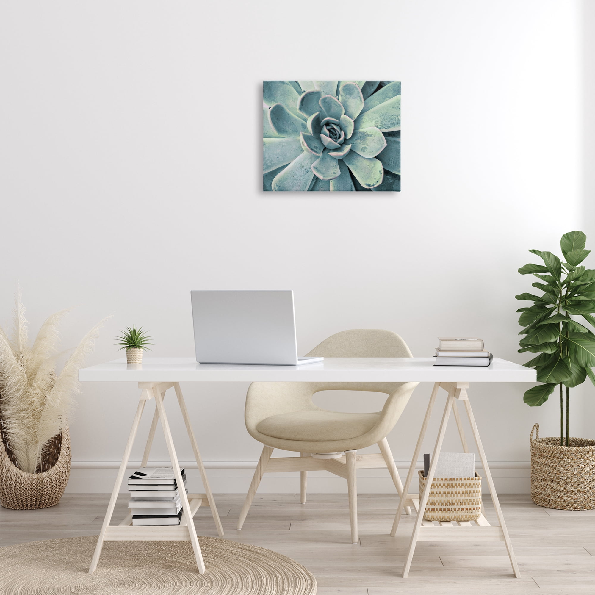 Stupell Industries Green Cactus Succulent Botanical & Floral Photography Gallery Wrapped Canvas Art Print Wall Art, 20 x 16
