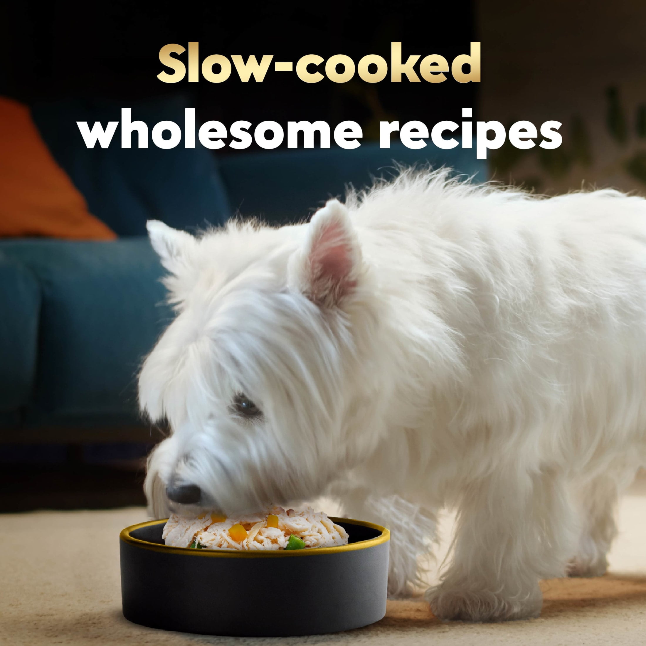 (8 pack) Cesar Wholesome Bowls Chicken, Sweet Potato & Green Beans Recipe Adult Wet Dog Food, 3 Oz Bowl