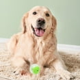 thumbnail image 4 of Dog Toy Balls, Food Leaking Function Brain Improvement Dog Teething Balls Strong Teeth Convenient to  Interactive Dog Chew Toy for House Indoor Family, 4 of 8