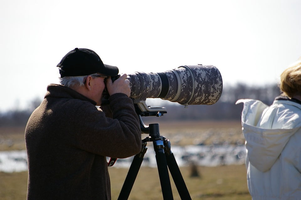 outdoor bird camera