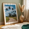 thumbnail image 6 of Path to the Palms - Rincón Puerto Rico Photography Palm Tree Tropical Nature Scenic Summer Landscape Beach House Unframed Wall Art Print 20 x 30 inches, 6 of 60
