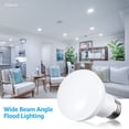 thumbnail image 4 of 8 Pack 7.5W LED Lights BR20 R20 Dimmable LED Light Bulbs, Flood Light Bulb Indoor, 5000K Daylight, 4 of 7