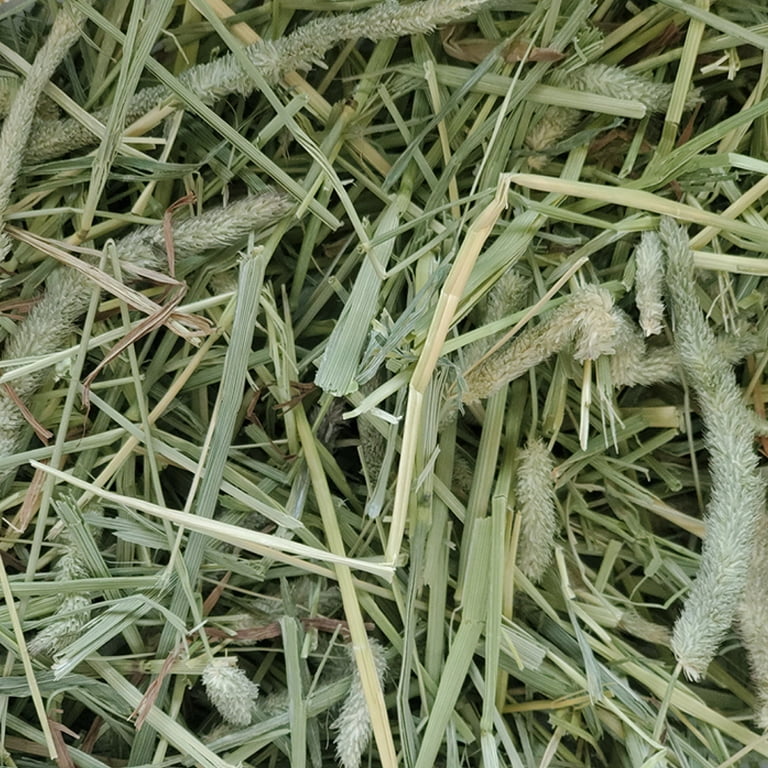 Standlee PremiYum Timothy Grass Hay, 9 Lbs photo 3