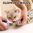 thumbnail image 4 of Calming Cat Grooming Kit, Bite-Proof Scratch-Proof Self-Adhesive Wrap with Nail Clippers, Escape-Proof Grooming Bag for 3-6 lbs Kittens, 4 of 10