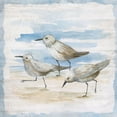 thumbnail image 4 of Nan 15x15 Black Modern Wood Framed Wall Art Titled - Shore Birds II, 4 of 6