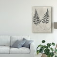 thumbnail image 3 of Trademark Fine Art 'Vintage Fern Study I' Canvas Art by Vision Studio, 3 of 4