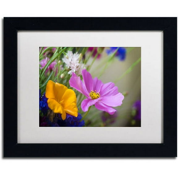 Trademark Fine Art "Cosmos of the Fields" Canvas Art by Philippe Sainte-Laudy, White Matte, Black Frame