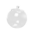 thumbnail image 3 of Glass Plant Container Decorative Micro Landscape Bottle for Tea Sugar Pepper, 3 of 8