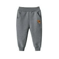 thumbnail image 2 of KYAIGUO 1-10Y Kids Toddler Fall Winter Sweatpants Jogger for Boys Fleece Lined Jogger Sweat Pants Baby Warm Elastic Casual Trousers Bottoms Windproof Active Pants, 2 of 8